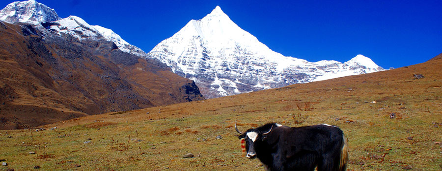 10 Days Bhutan Tour - Trek 