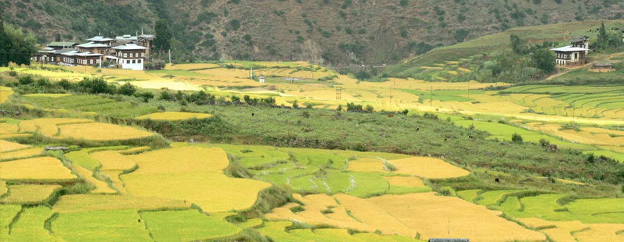 Magical Western Bhutan Tour