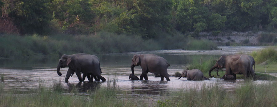 Bardia National Park