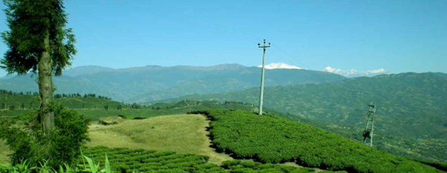 East Nepal Tour with Short Trekking