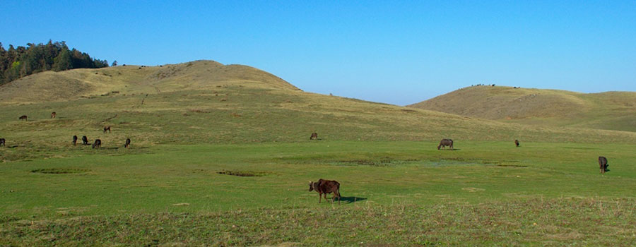 Khaptad National Park