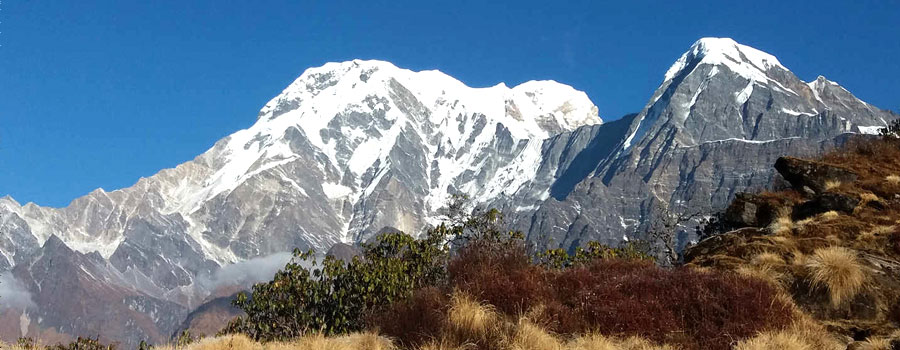 Mardi Himal Trek
